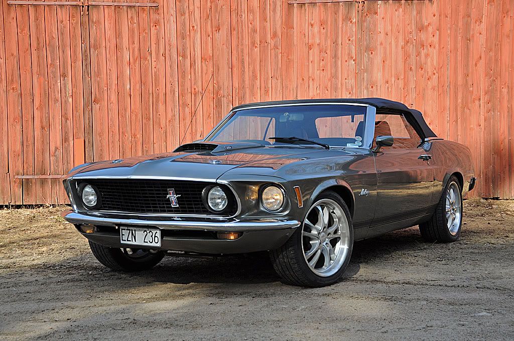 Mustang20112.jpg