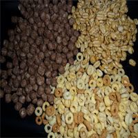 como decorar casas de galleta de jengibre