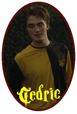 Cedric Diggory Avatar