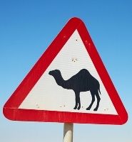  photo camel-warning-sign_zpsb6cfe017.jpg