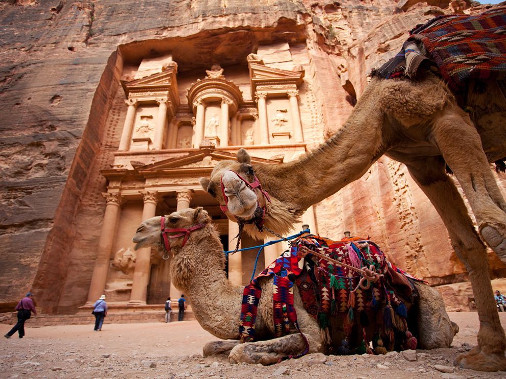  photo camels-petra-jordan_67981_990x742_zps5e5bcea7.jpg