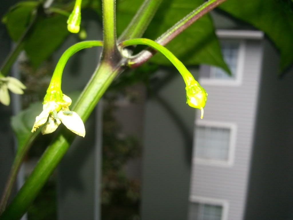 20130929_164407.jpg