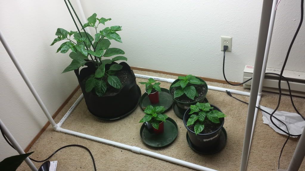 20131017_192149.jpg