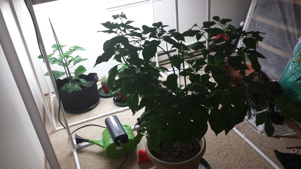 20131017_192203.jpg