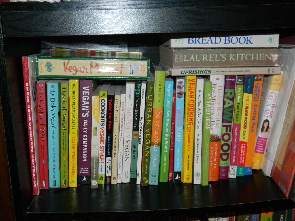 Shelf 3