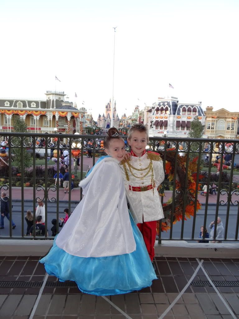 DSC00783.jpg