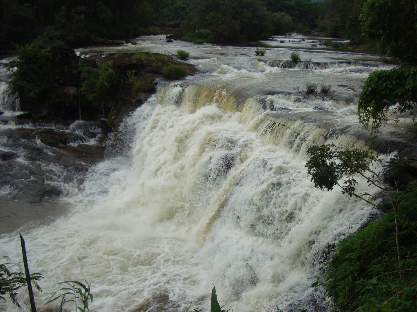 18 días por Camboya y Laos (Septiembre 2012) - Blogs de Asia Sudeste - PAKSE (excursión Bolaven Plateau) (11)