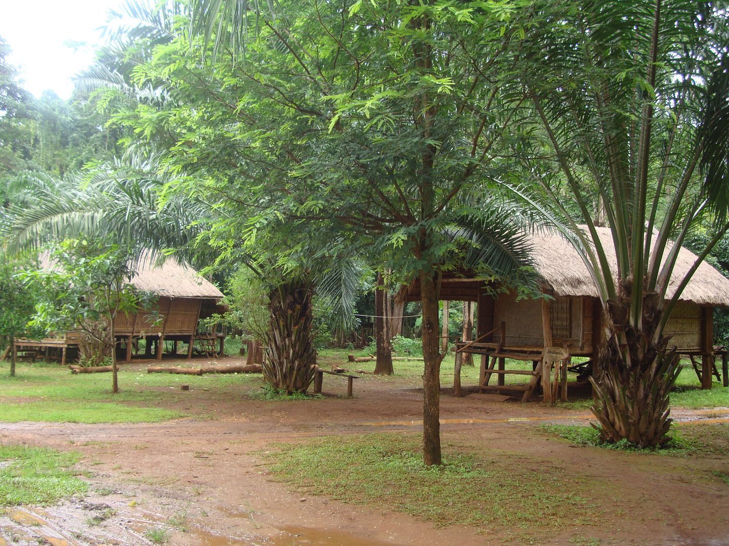 18 días por Camboya y Laos (Septiembre 2012) - Blogs de Asia Sudeste - PAKSE (excursión Bolaven Plateau) (15)