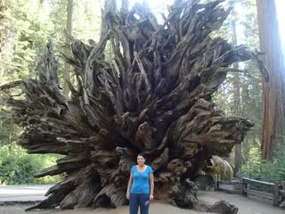 COSTA OESTE EN 15 DIAS - Blogs de USA - DEATH VALLEY - YOSEMITE (22)
