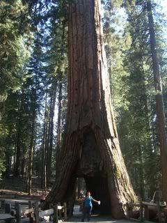 COSTA OESTE EN 15 DIAS - Blogs de USA - DEATH VALLEY - YOSEMITE (21)