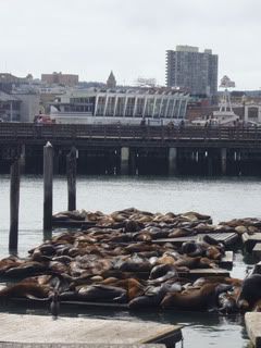 COSTA OESTE EN 15 DIAS - Blogs de USA - SAN FRANCISCO (23)