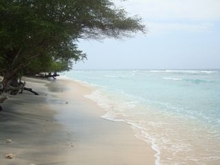 SINGAPUR-JAVA-BALI-GILI 2011 - Blogs de Indonesia - GILI TRAWANGAN - SEMINYAK (9)