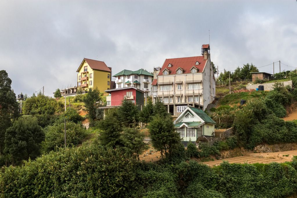 IMAGE: http://i1229.photobucket.com/albums/ee480/zavcom/Sri%20Lanka%202012/IMG_0357.jpg?t=1343652263.jpg