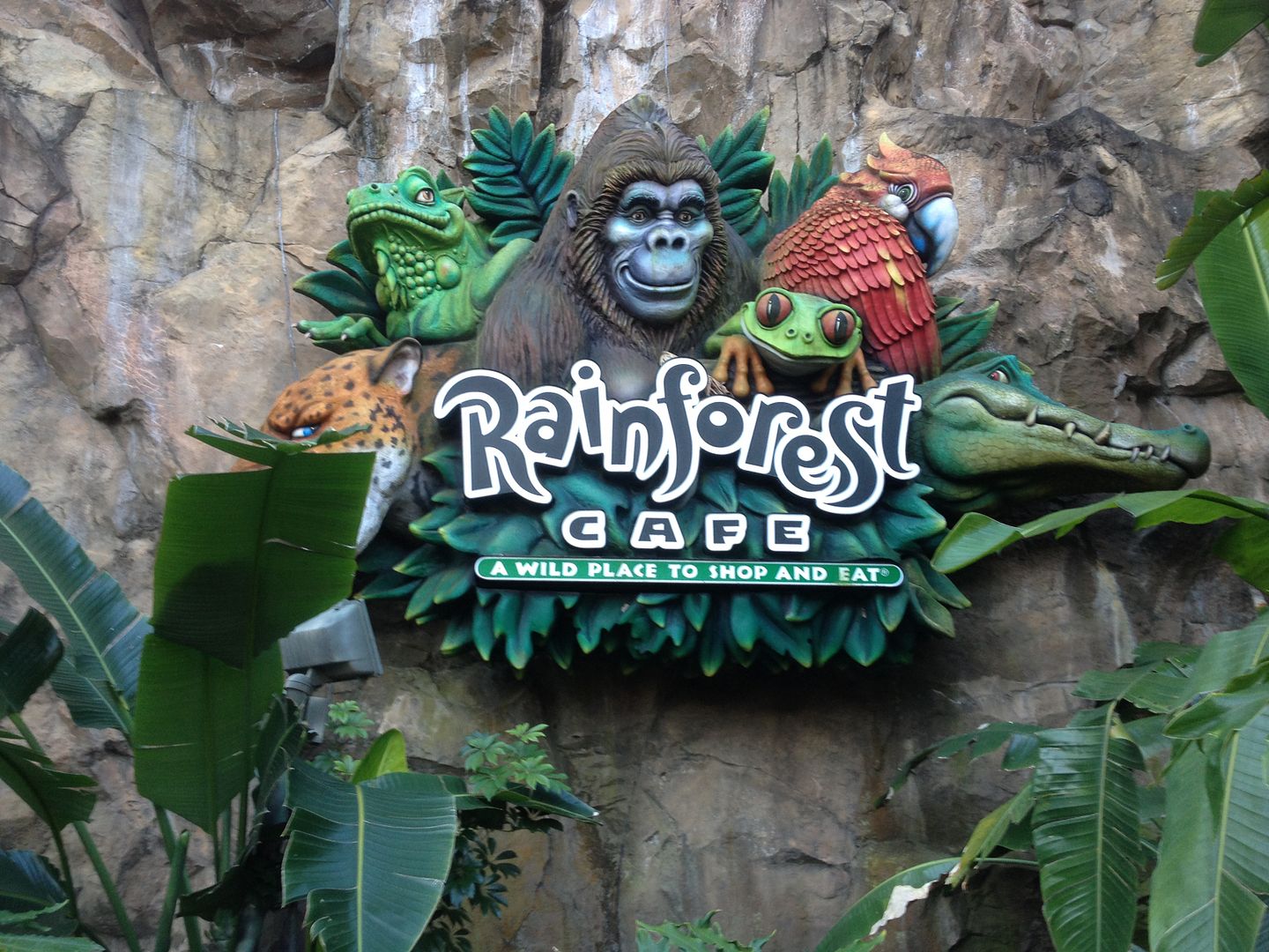 Rainforest Cafe Breakfast – Taste of Disney