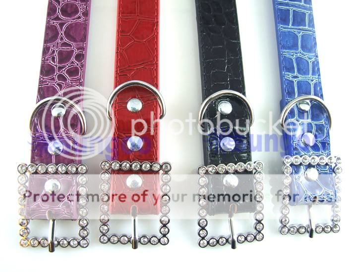 NEW Croc Dog Cat Pet Personalized Collar + 6 Free Letters, S M L 
