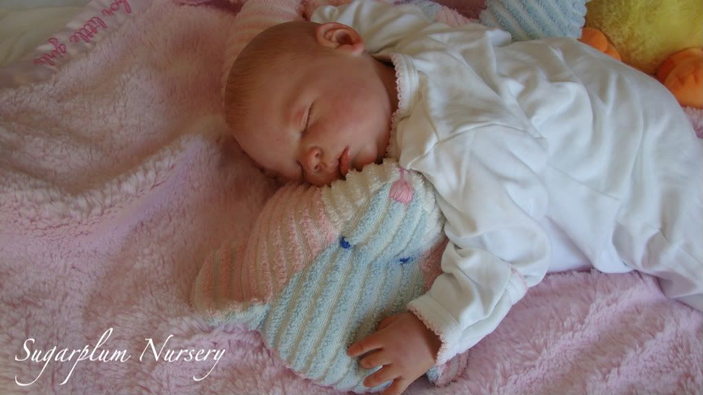 Sugarplum Nursery Reborn Realistic Lifelike Baby Girl Doll Adorable