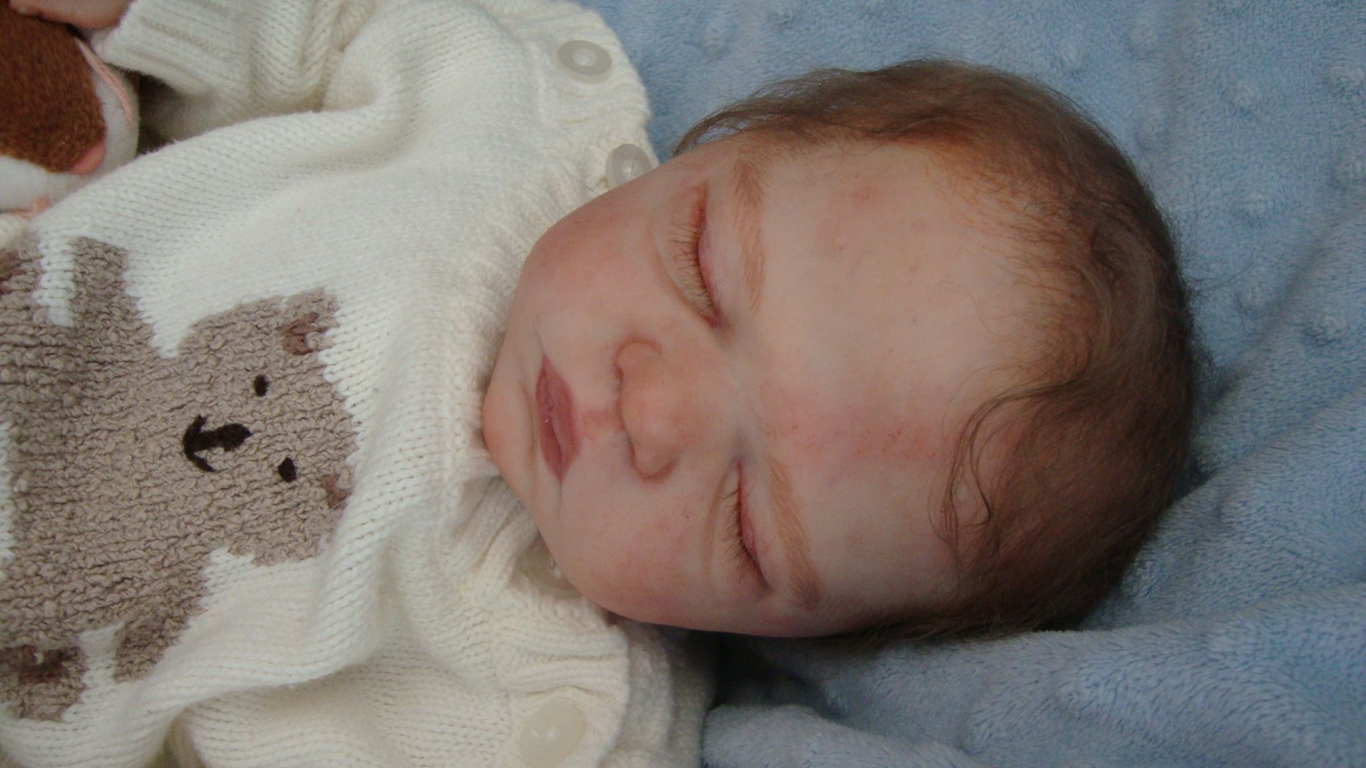 Sugarplum Nursery Lifelike Reborn Baby Boy Doll by Liz Campbell Ltd Ed No Resv