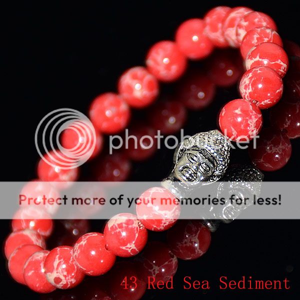  photo 43 Red Sea Sediment.jpg