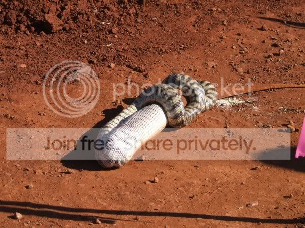 ATT5469107.jpg