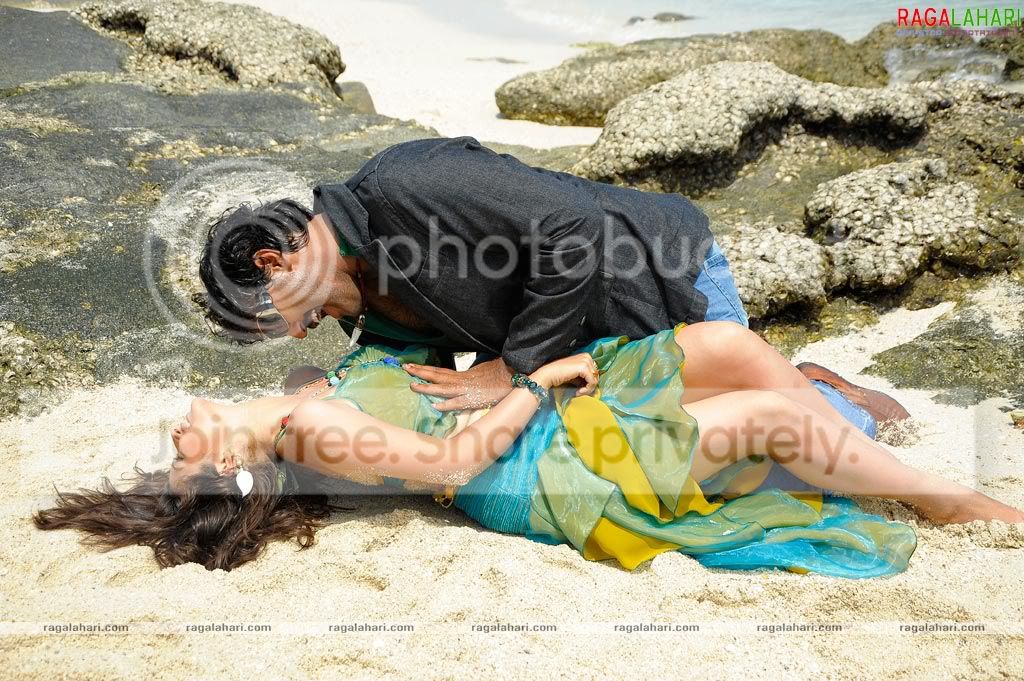 aaokkadu6227.jpg