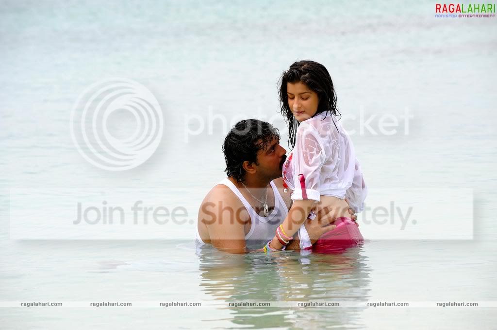 aaokkadu68.jpg