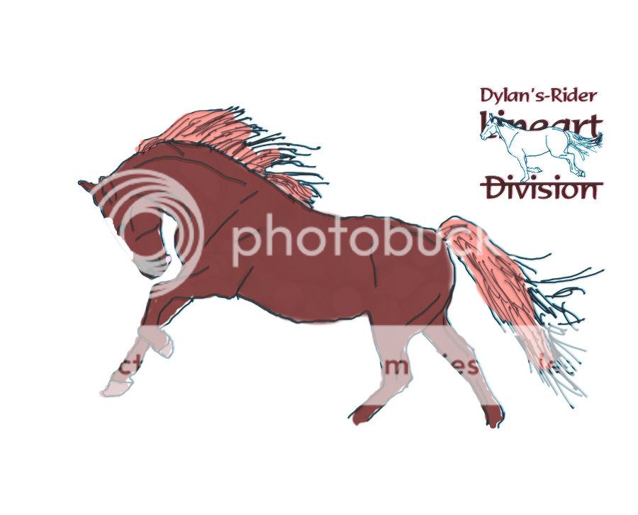 Dylan's-Rider (cinnamon) photo Dylans-Ridercinnamon.jpg